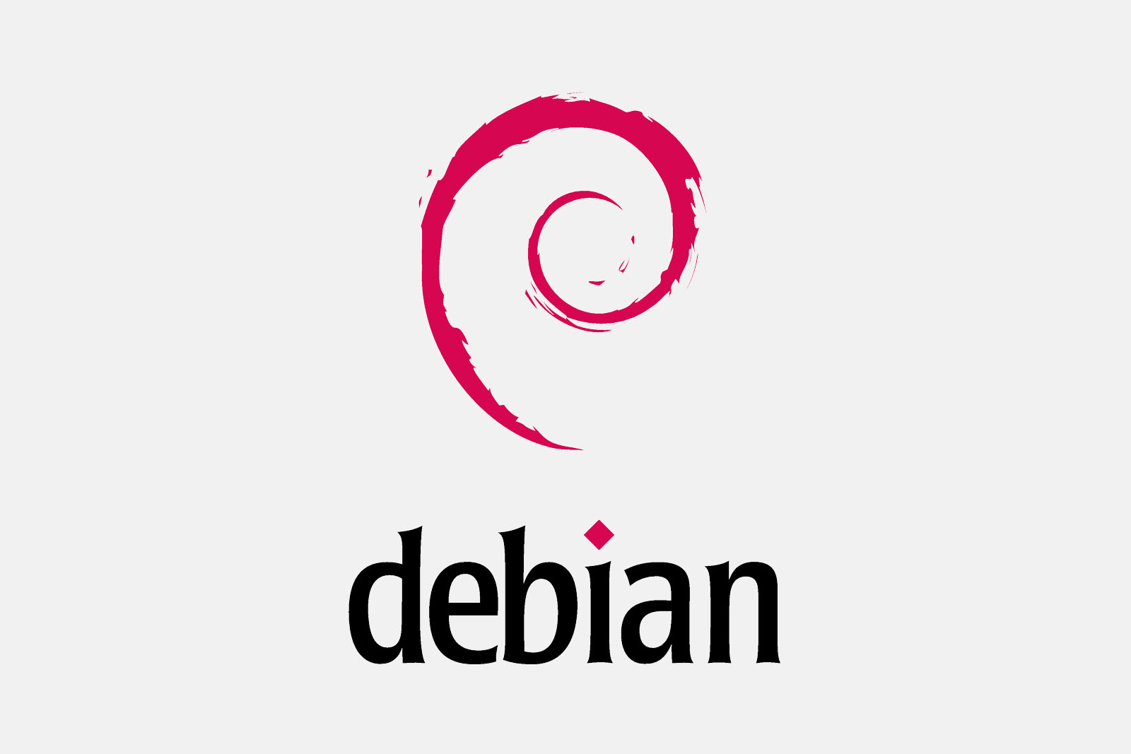 How To Install Debian OS?